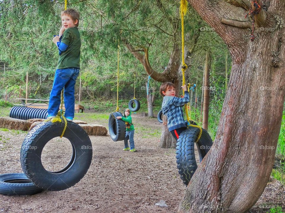 Young boys playing on tire swings