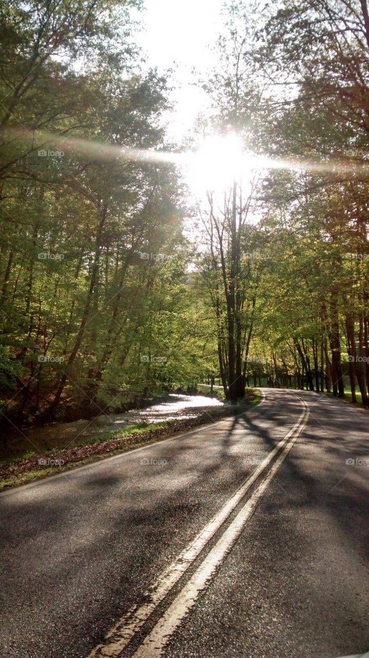 Logan Cheif State Park