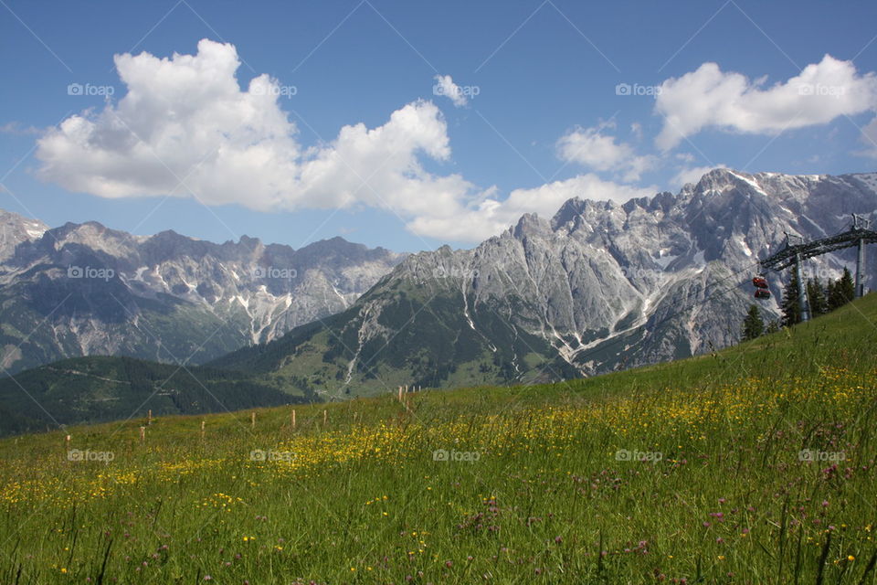 Alp meadow