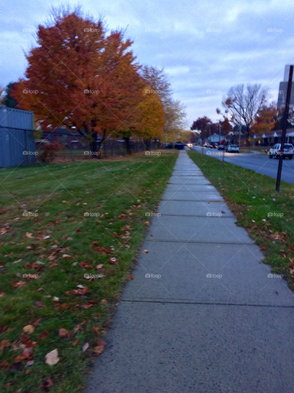 Autumn Walk Home #3