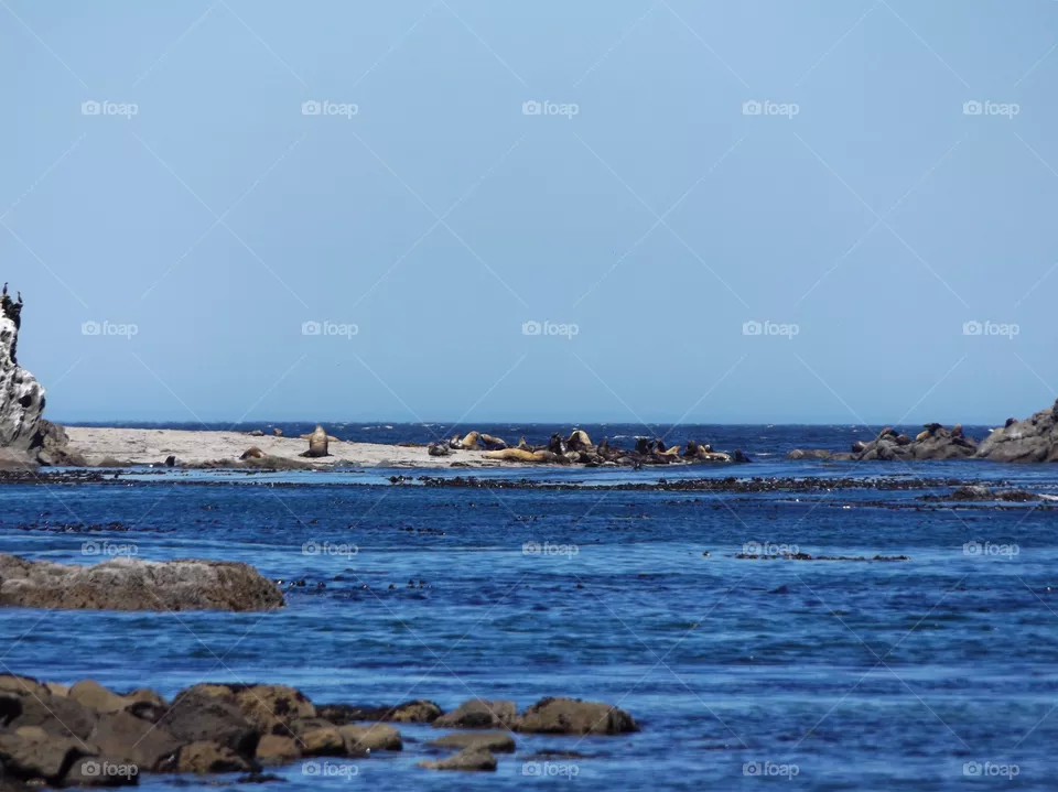 sea