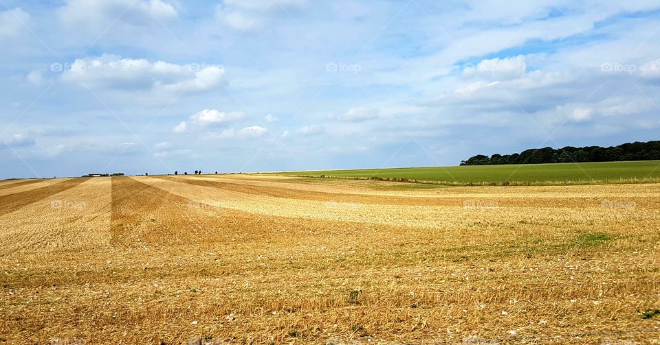 Field of England