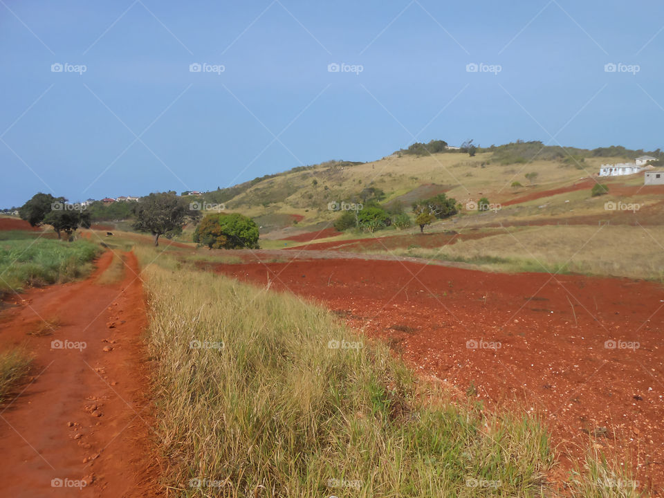 Bright Earth Colors