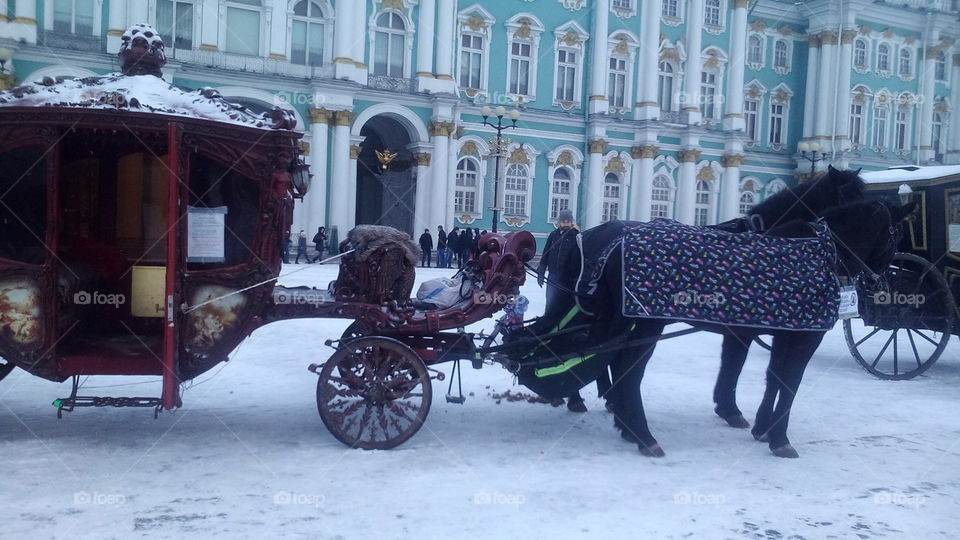 Carriage. Saint Petersburg Palace's square.