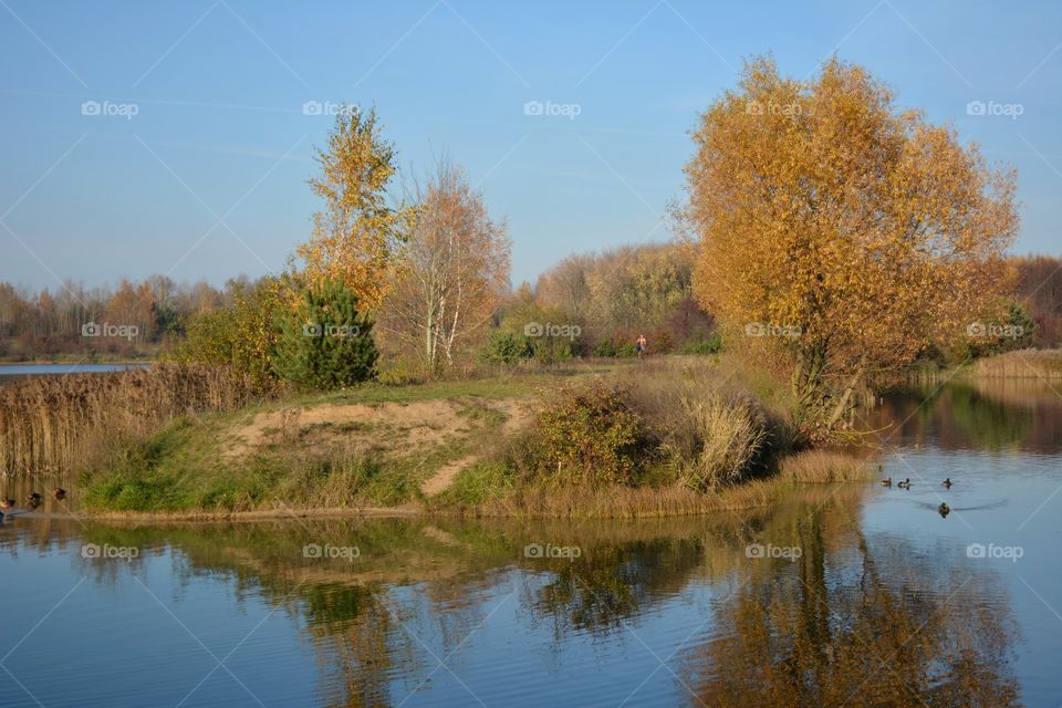 beautiful autumn landscape lake and person walking blue sky background, and reflection