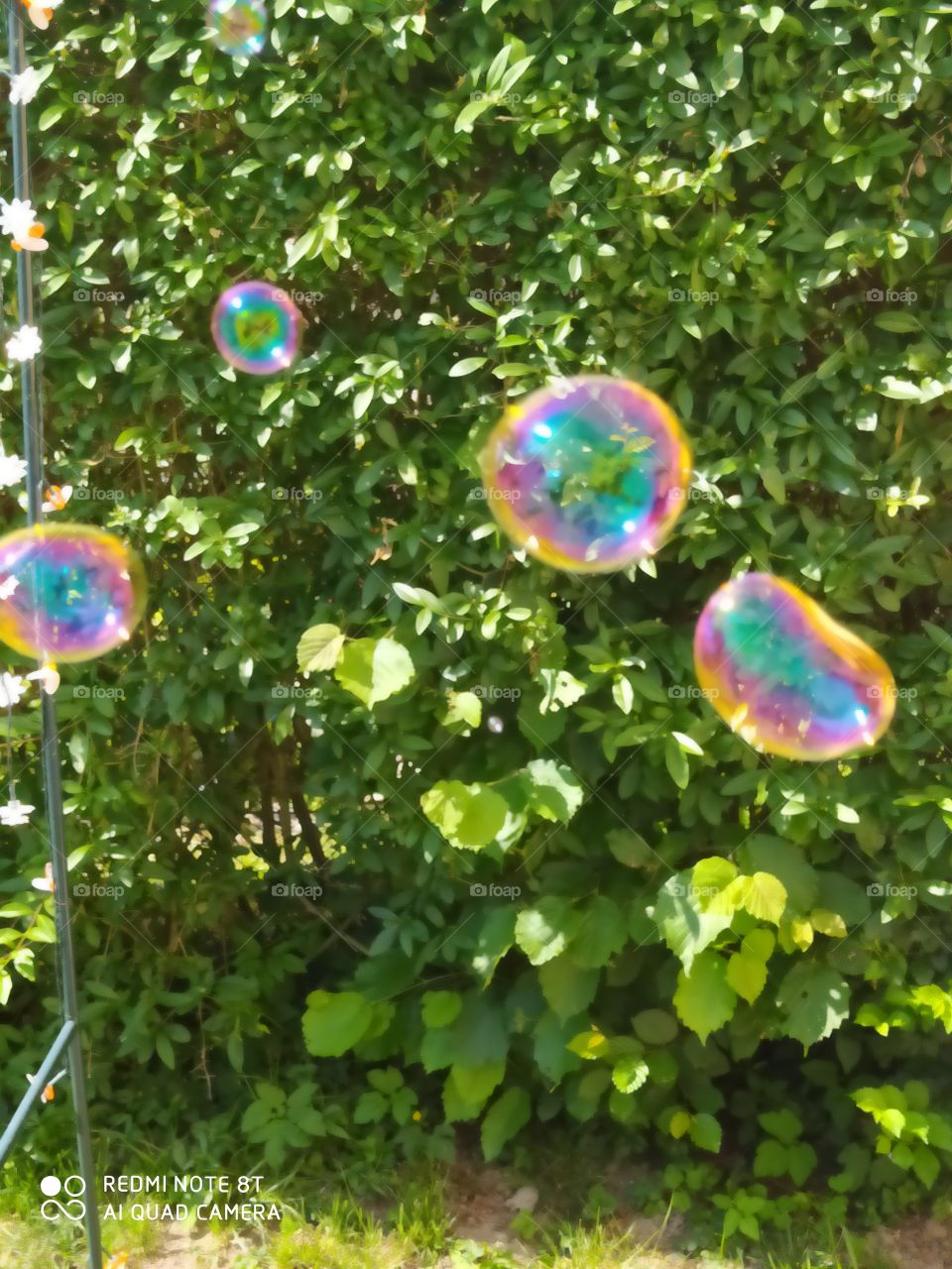 Soap bubbles

￼