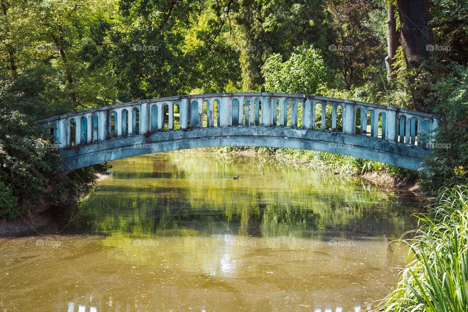 The contrast of grey bridge and green nature.