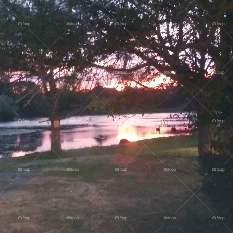 sunset on the pond