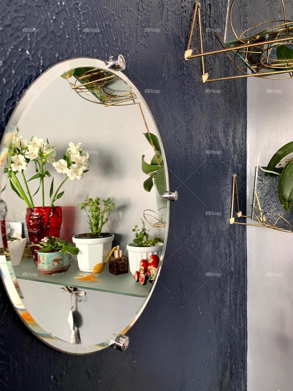 Reflection of plants in the mirror