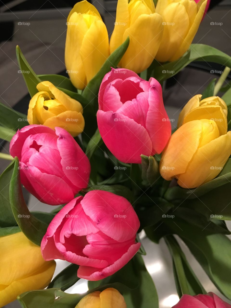 Elevated view of tulips flower