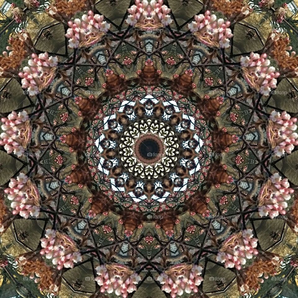 floral mandala