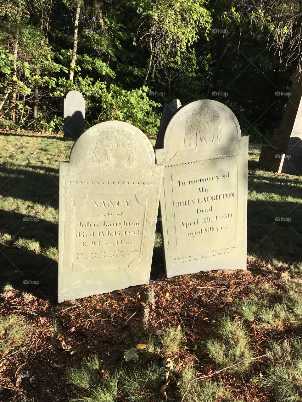 Cuddling gravestones 
