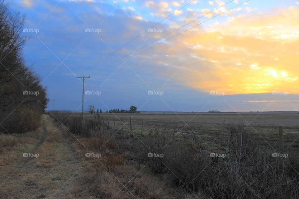 rural track