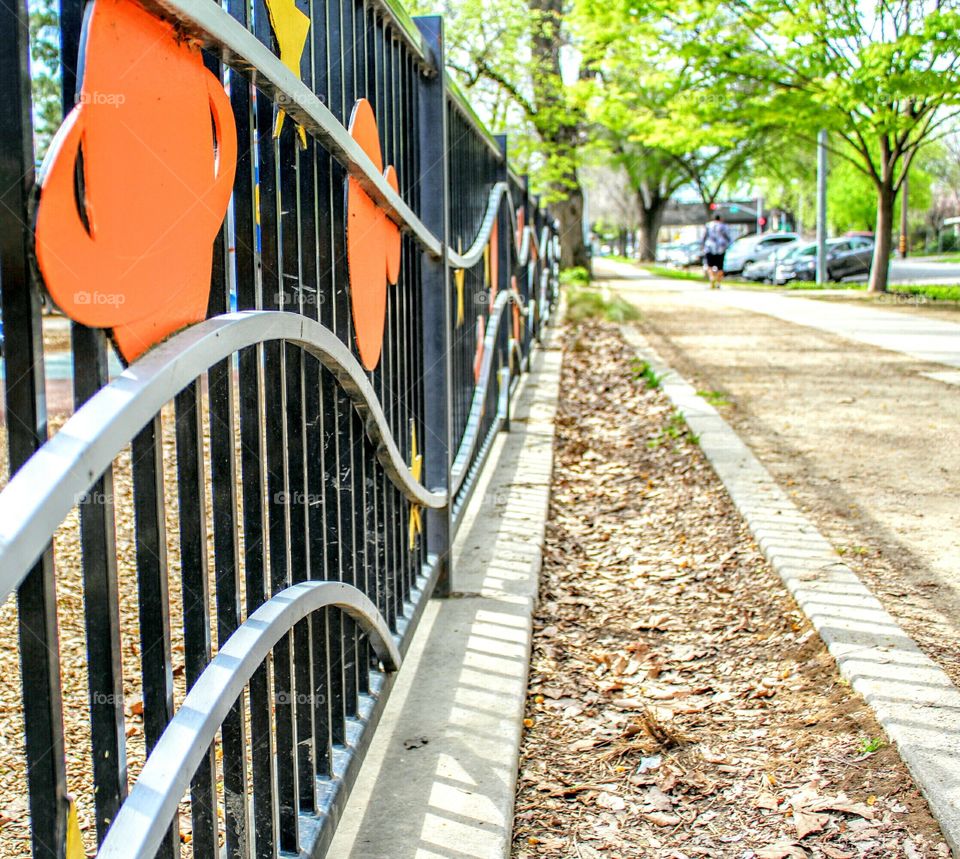 Universal Park Trail