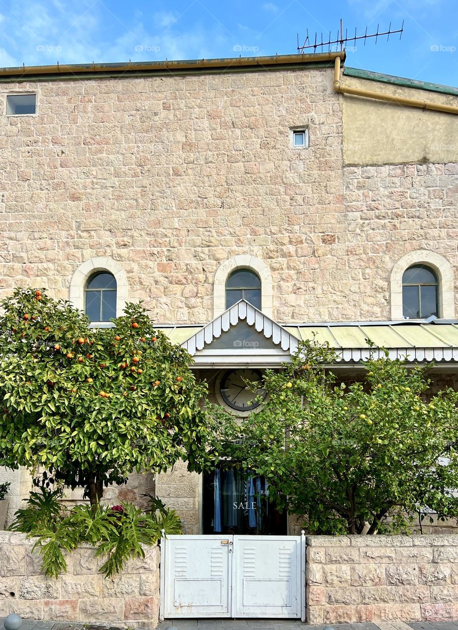 Brick building with large clock has orange trees in front 