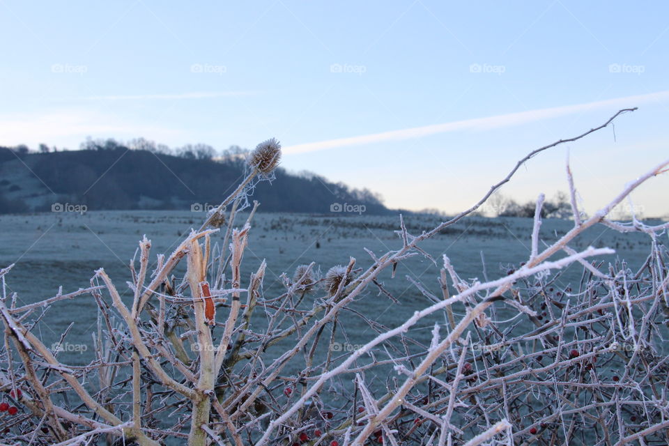 Beautiful change from Autumn to Winter