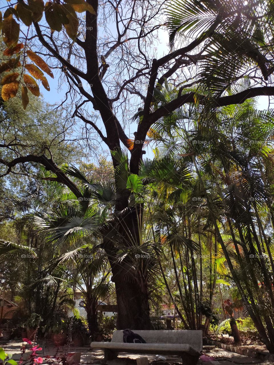 student garden in a college.