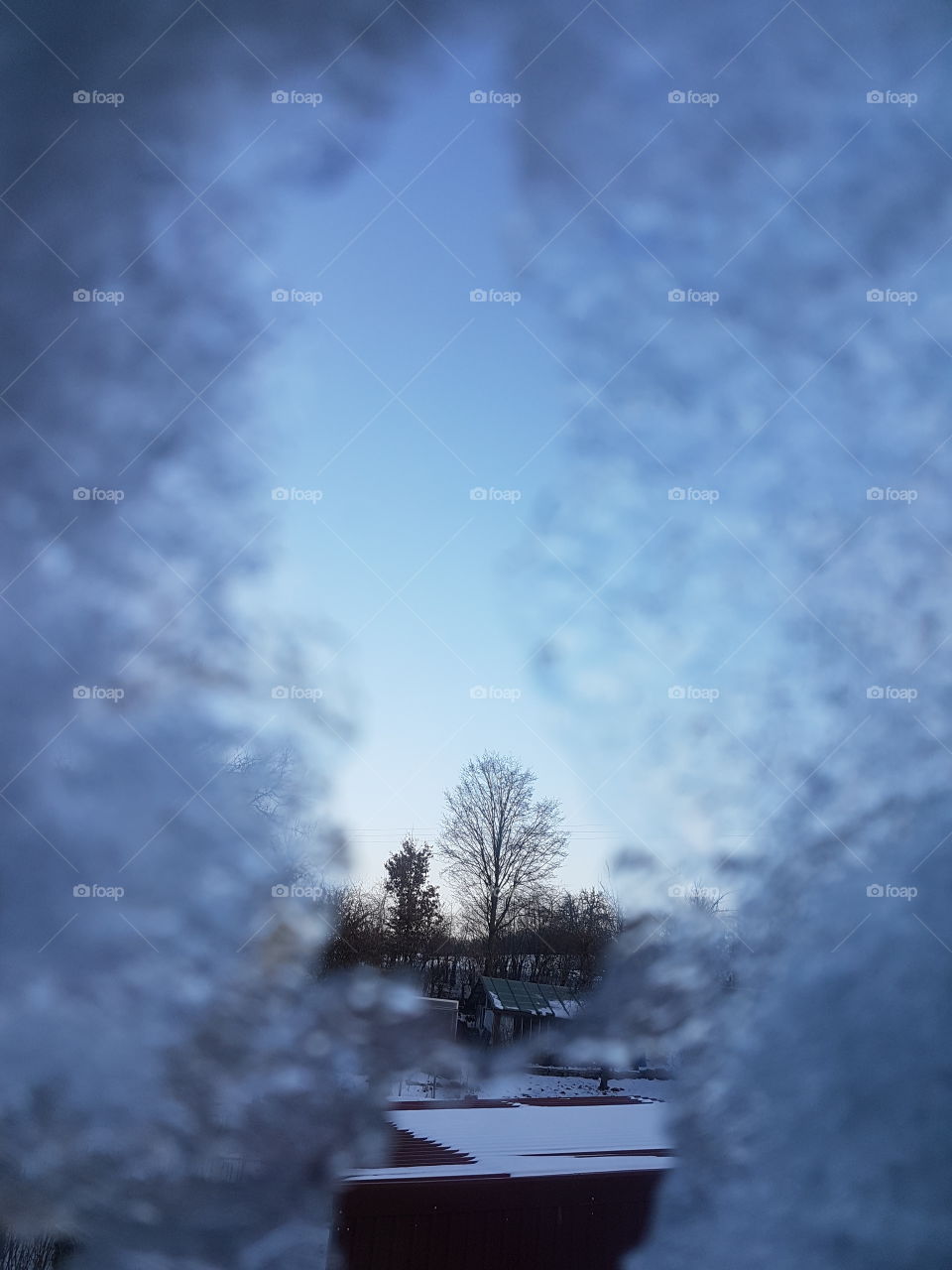 Frost am Fenster