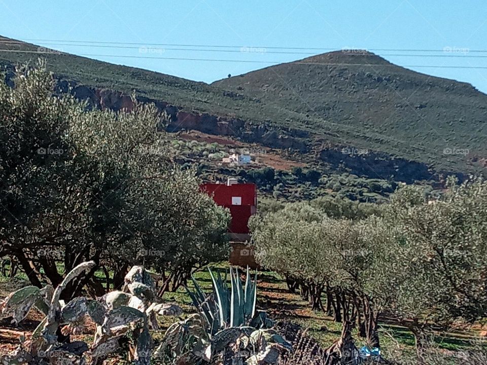 Population between the nature