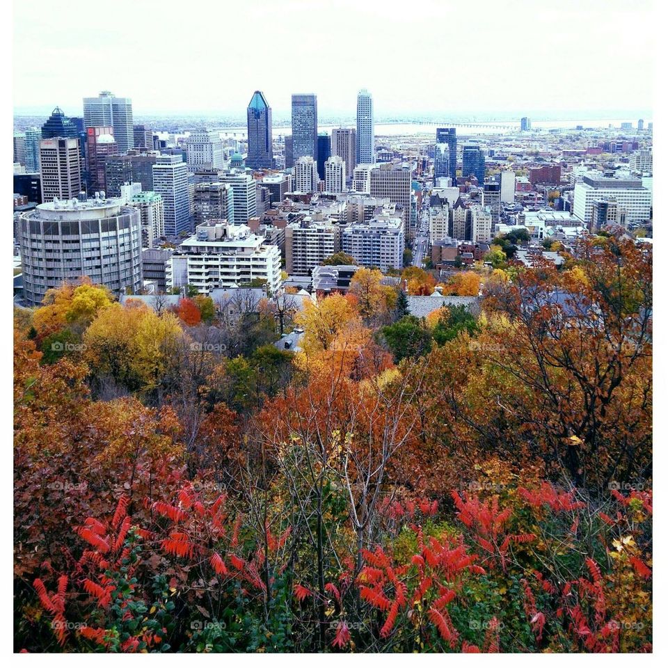 Montreal in the Fall