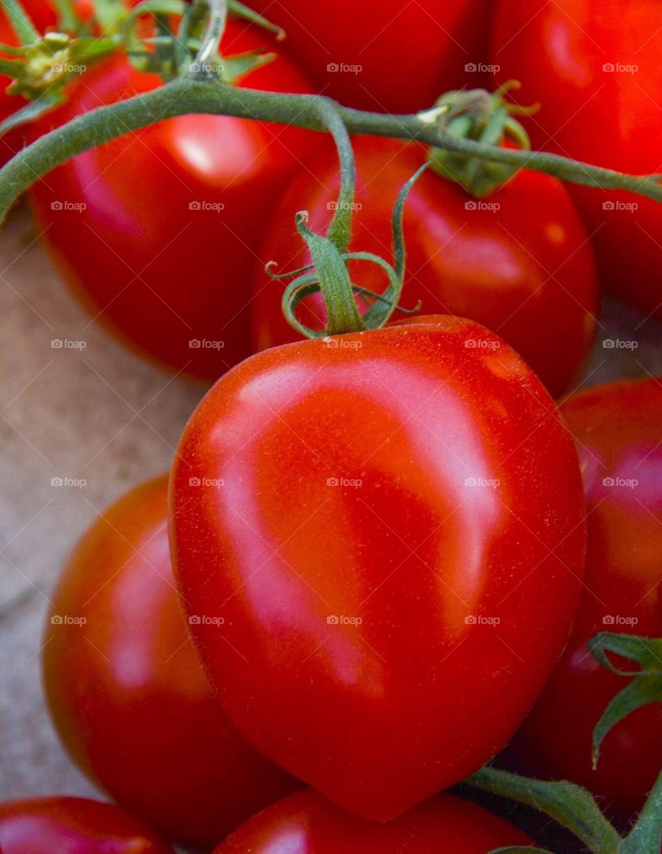 Tomatoes Bright Red 