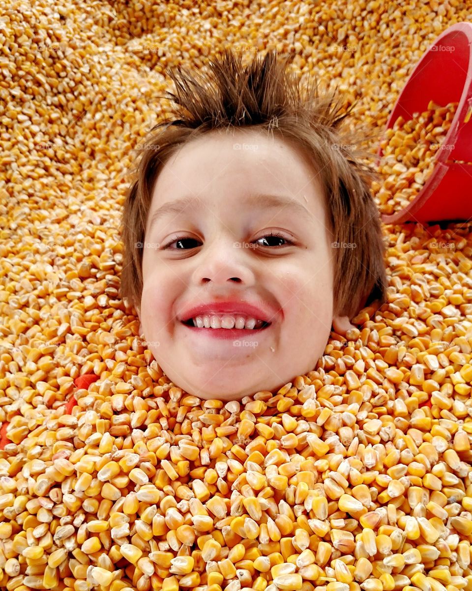 Cute boy in corn background