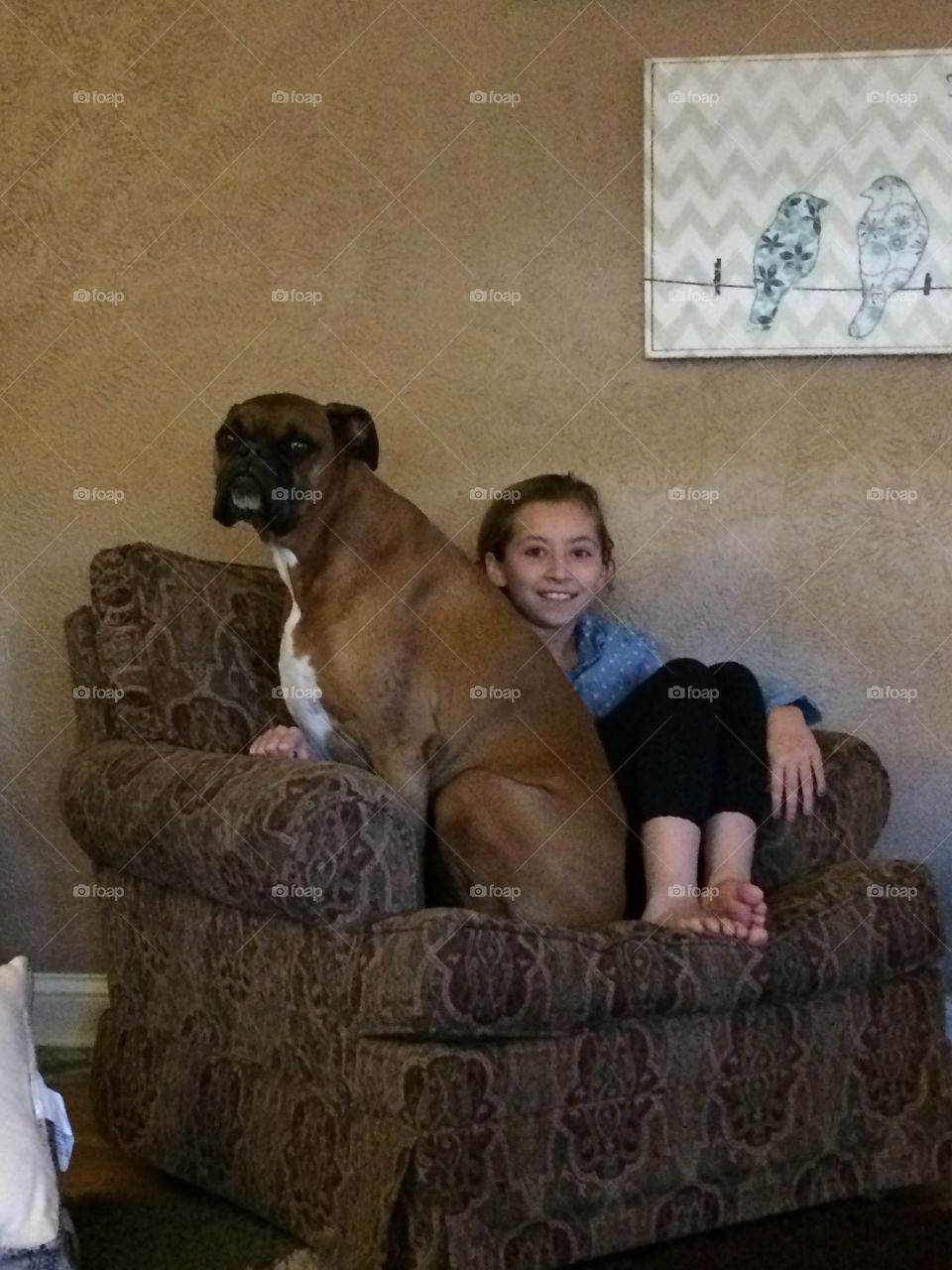 Little girl with dog sitting on sofa