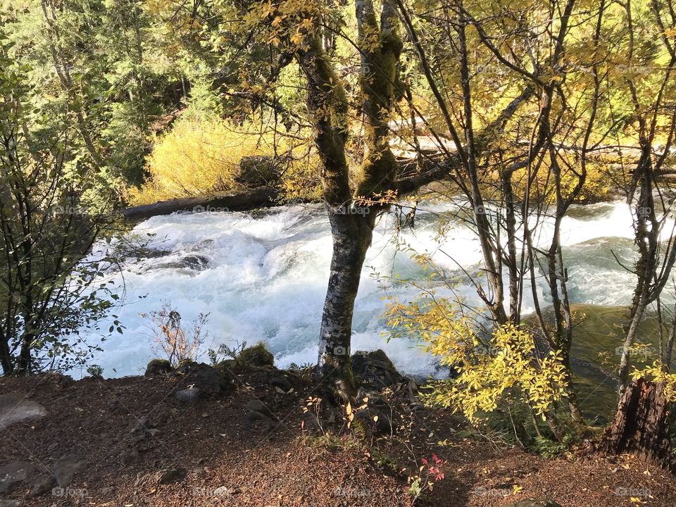 Sun rays reflect off the rushing waters of the McKenzie River in the mountains of Western Oregon on a beautiful fall day. 