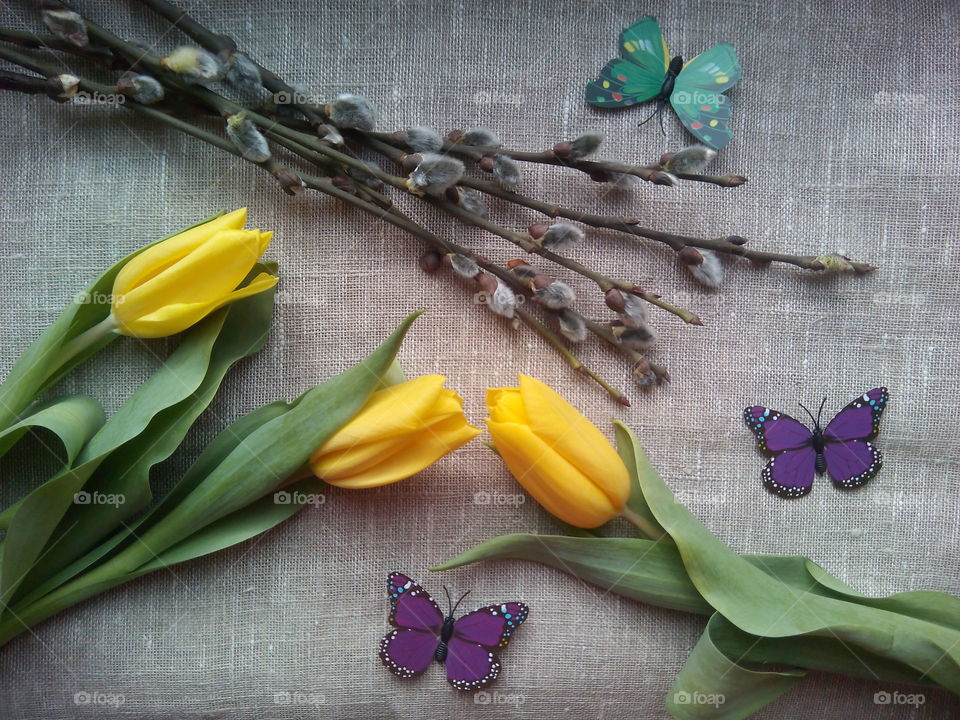 Flower, Flora, Desktop, No Person, Leaf