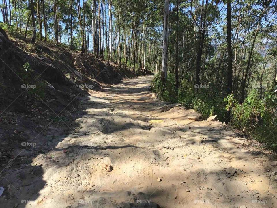 Nature create beauty