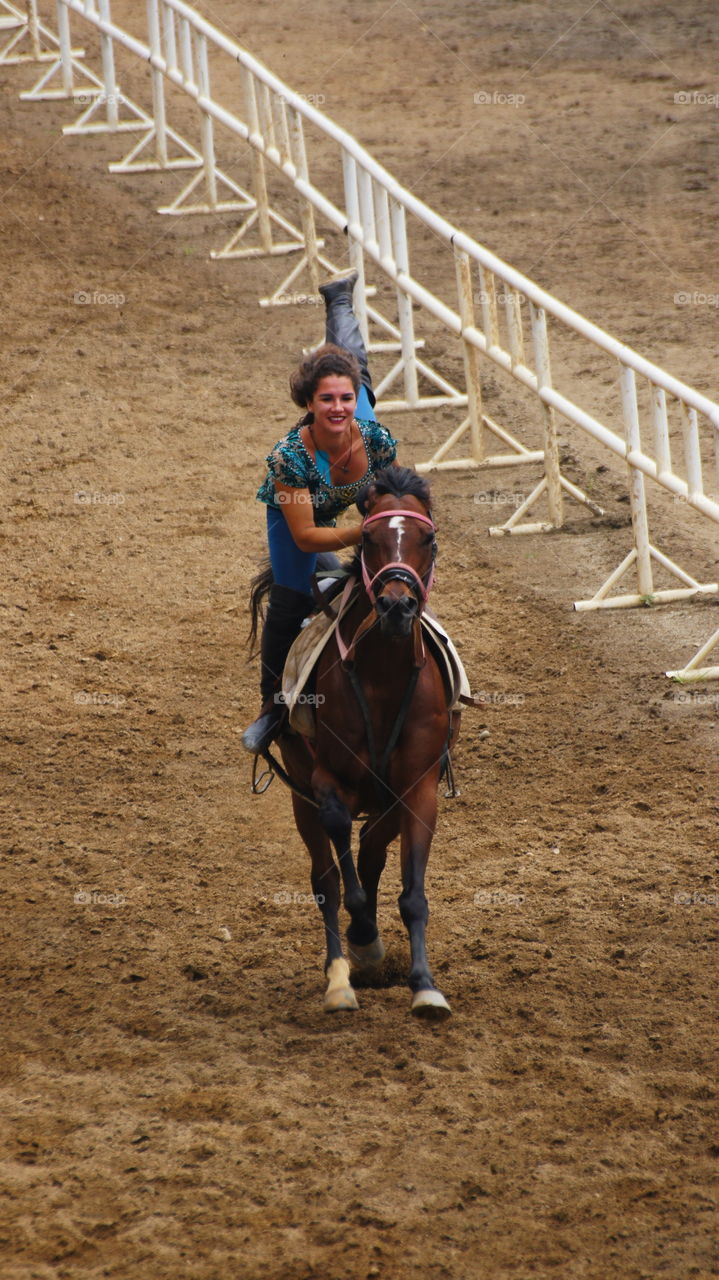 Equestrian performances 馬術表演