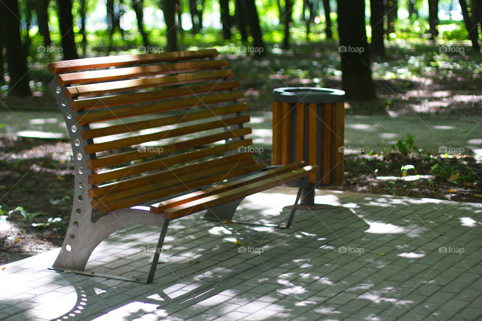 Bench in the park