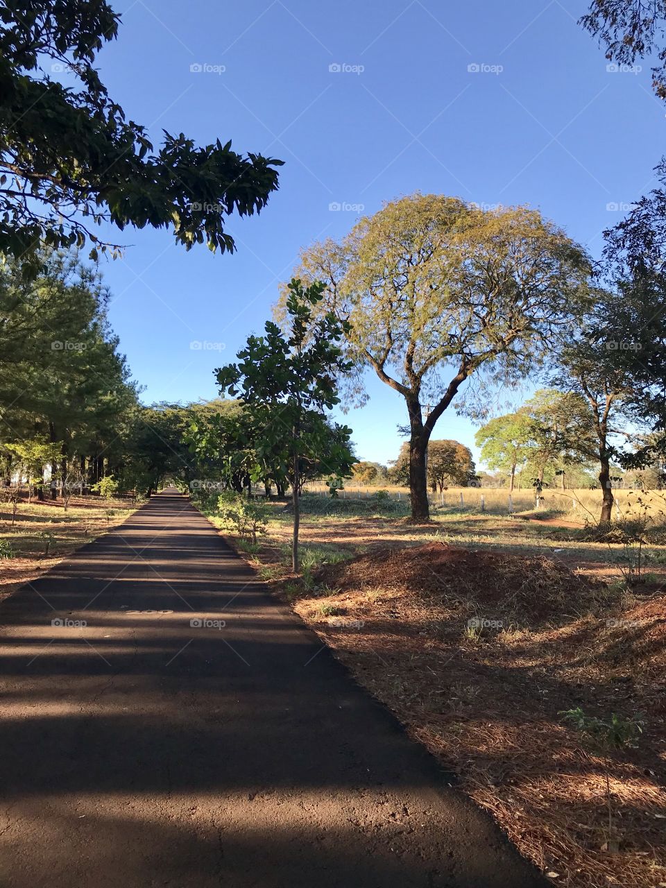 Caminhada em Santa Vitória MG Brasil