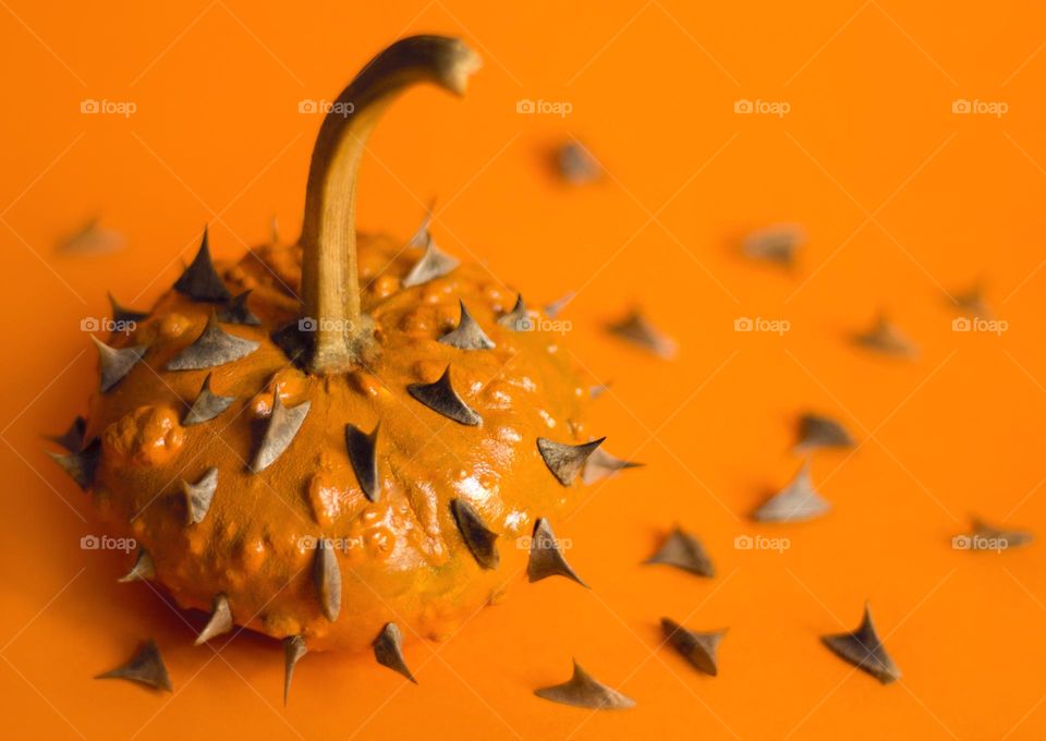 Halloween spiky pumpkin on orange background