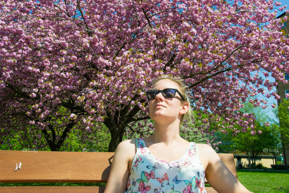 Woman relaxing in the sun infront of cherrry blossom in Malmö Sweden.