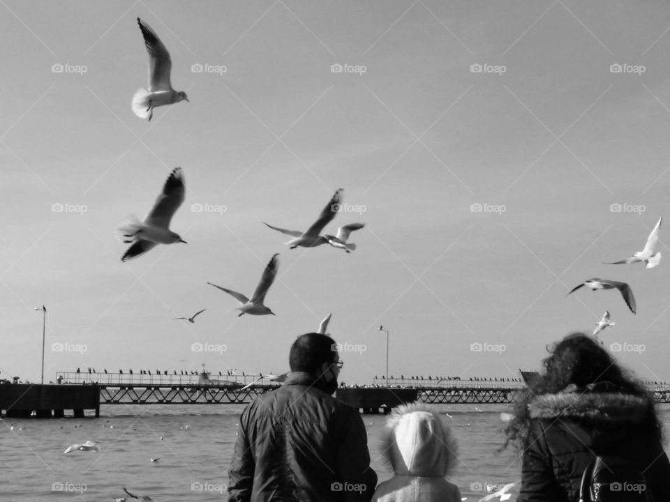 Family feeding the seagulls