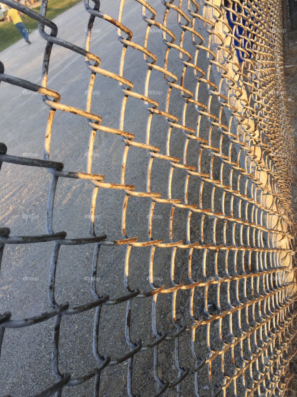 Don't Fence Me In. This was just a chain-link fence at the fairgrounds. I like the way the sun was hitting it