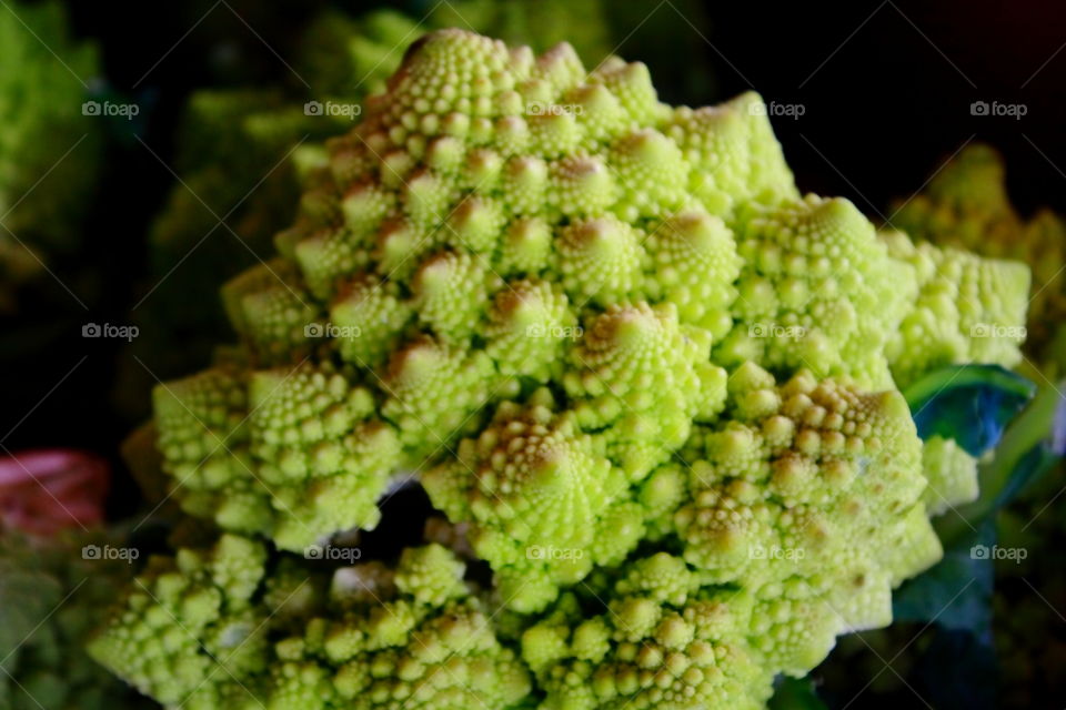 Freah green Romanesco broccoli, also known as Roman cauliflower, Broccolo Romanesco, Romanesque cauliflower or simply Romanesco