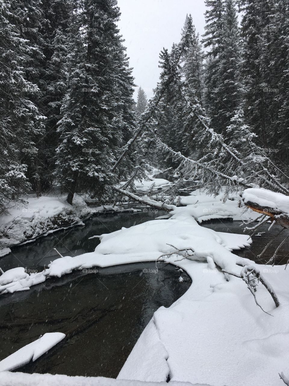 Nature Banff scenic 