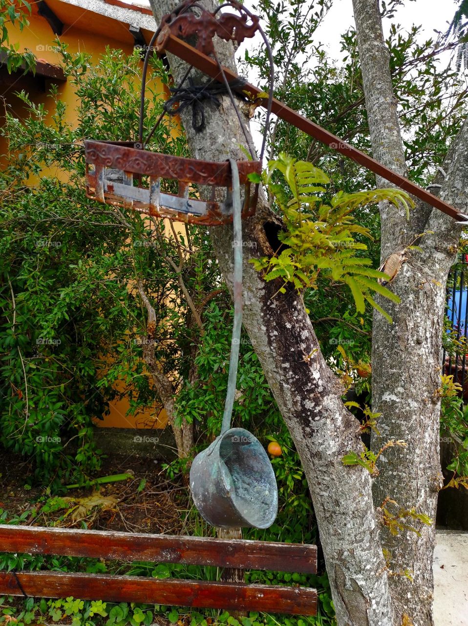 Tin ladle on the tree