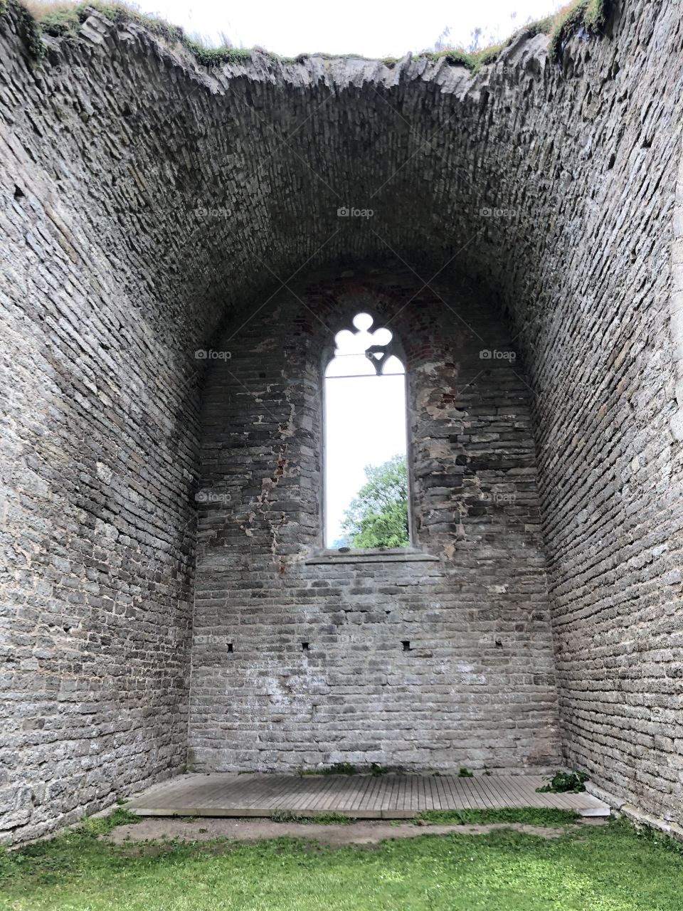 Alvastra monastery ruin