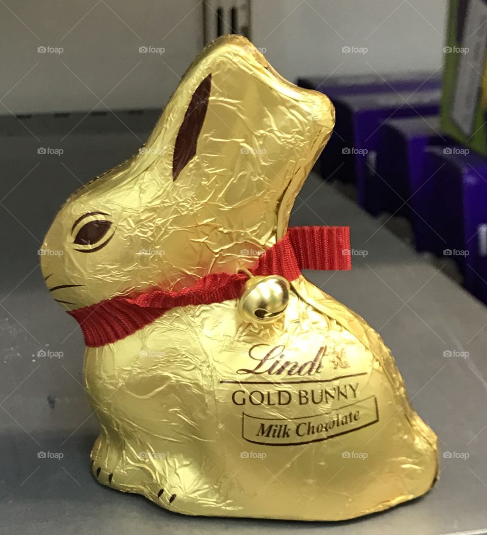 Bunny-chocolate--celebration #easter