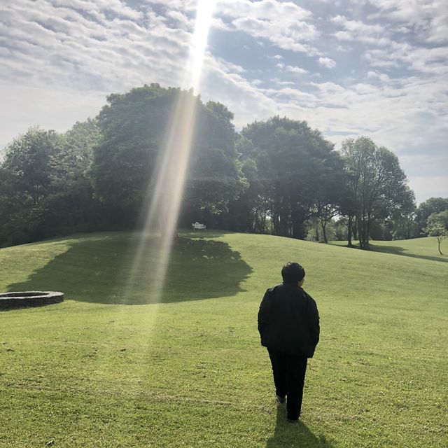 Exploring Ireland castle grounds 