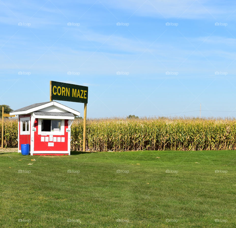 Wisconsin corn maze