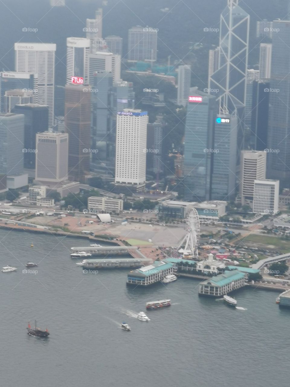 view from up above Hong Kong harbour