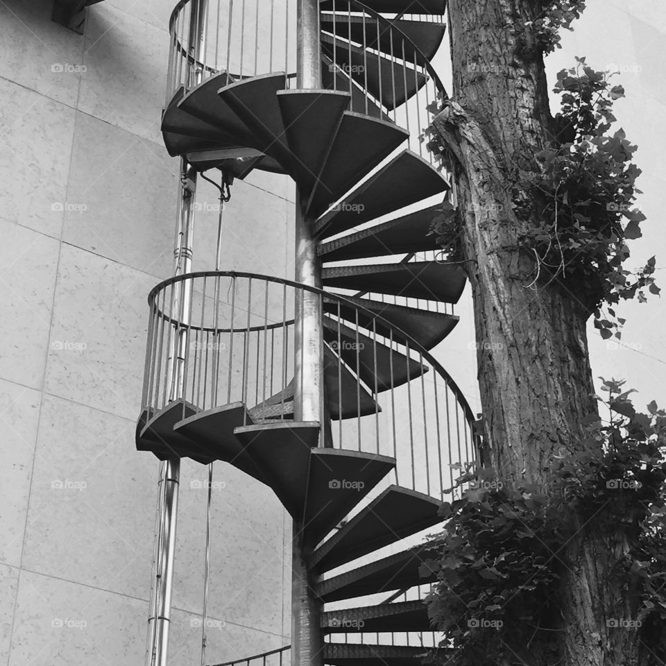 Stairwell in Paris 