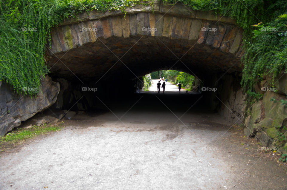 Romance in Central Park