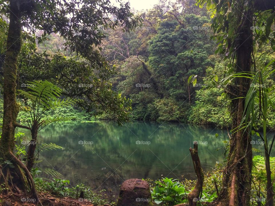 Blue lake, Gunung Gede - Pangrango National Park
