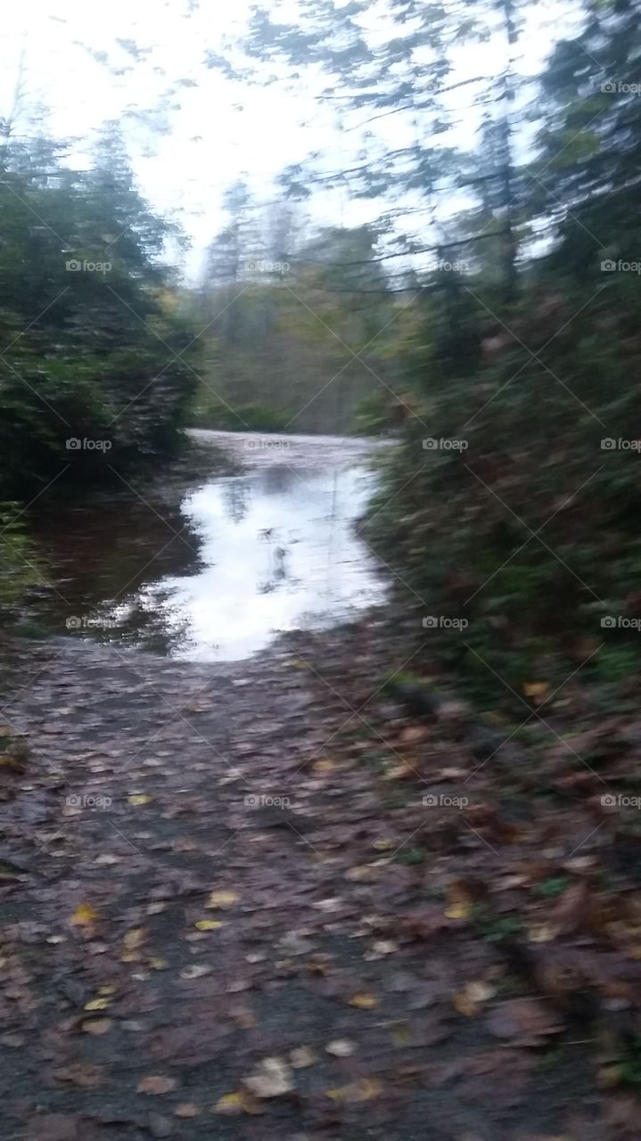 Flooding on the Trails
