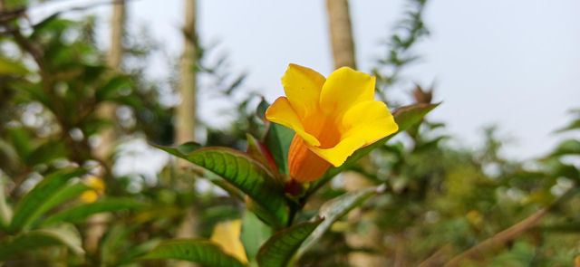 Beauty in the Nature